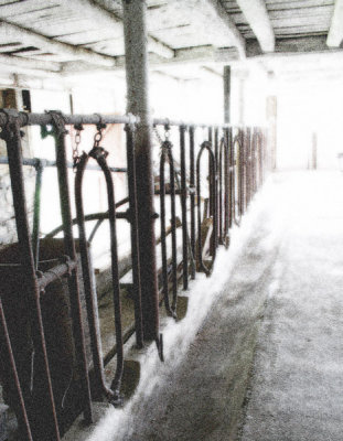 Old Milking Barn