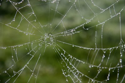 Jewelling the Web