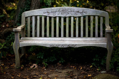 Portrait of a bench