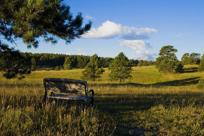 Seat With a View 2