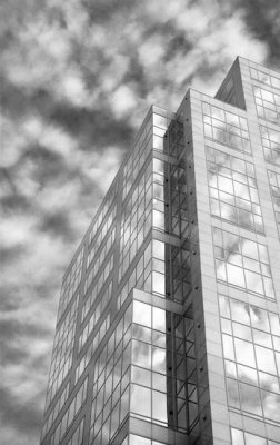 Pdx_021707_0048.jpg