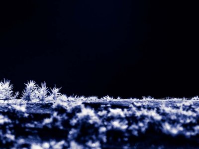_MG_4390.jpg