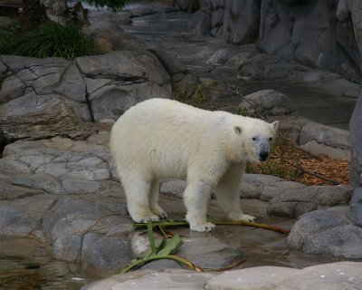 SeaWorld26.jpg