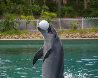 SeaWorld49.jpg