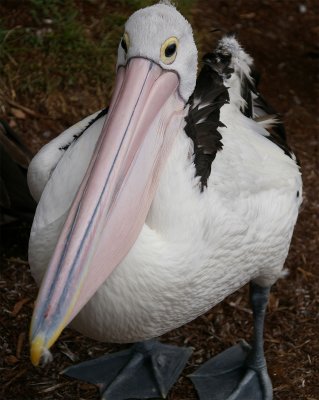 SeaWorld02.jpg