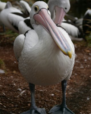 SeaWorld03.jpg
