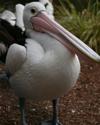 SeaWorld04.jpg