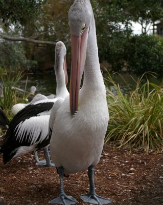 SeaWorld05.jpg