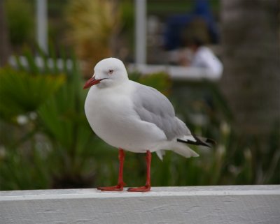 SeaWorld07.jpg