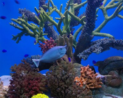 SeaWorld09.jpg