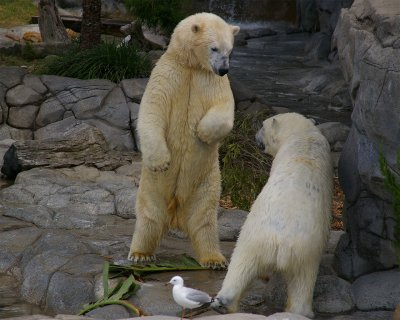 SeaWorld24.jpg