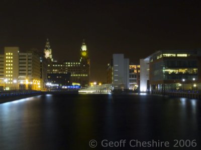The Liver Building from Princess Dock