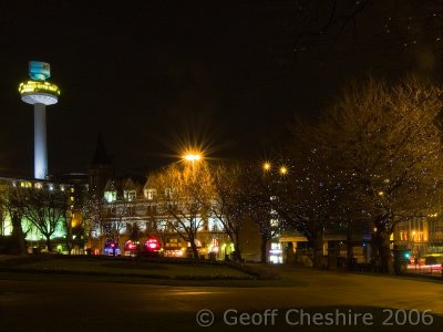 St George's gardens and the Radio City tower at night