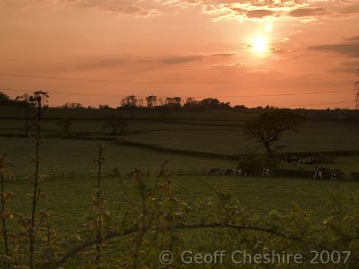 Spring sunset