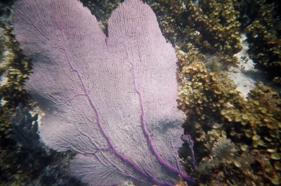 009_8.jpg