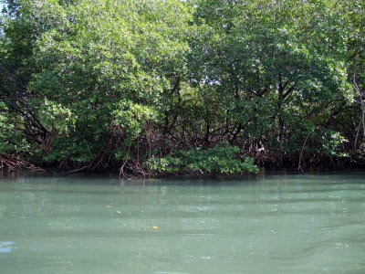 2007_0220_143758.jpg