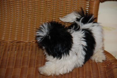 DSC_0097.JPG