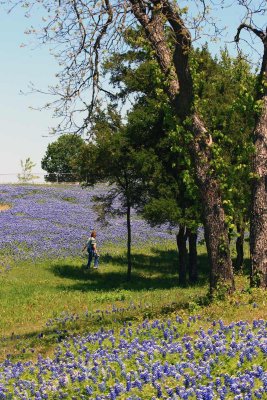 2007 Ennis Bluebonnet Festival