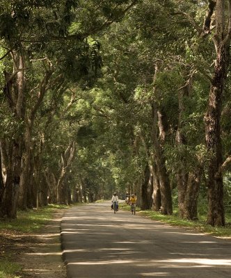 Cycling the roads of Zanzibar_w.jpg