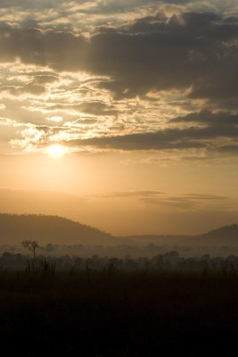 Dawn Mikumi National Park_w.jpg