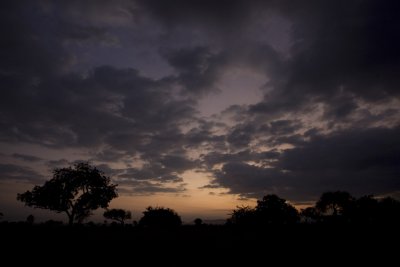 Sunrise at Mikumi National Park_w.jpg