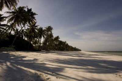 evening on the beach_w.jpg