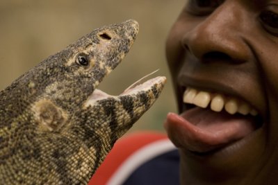 playing with the lizard_w.jpg