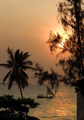 stonetown sunset dhow_w.jpg