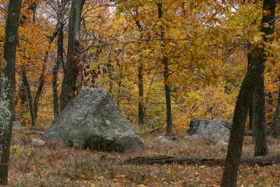 harriman1.jpg