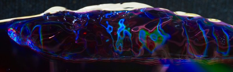 _DSC6887.jpg