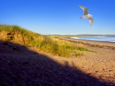 Martinique Beach, Nova Scotia