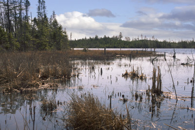 Lake on The Mines Road
