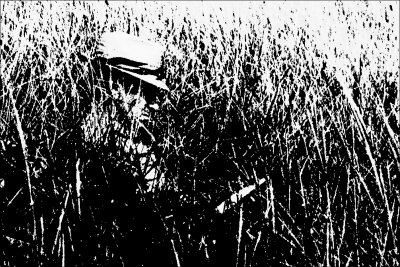 Reader in the Grass