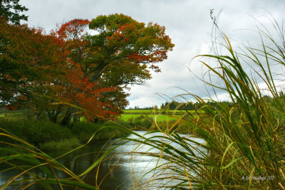 Elderbank NS 10/15/07