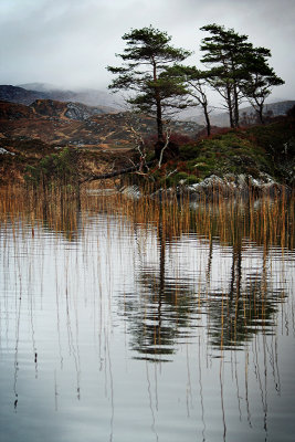 06-12-07 suilven lochan