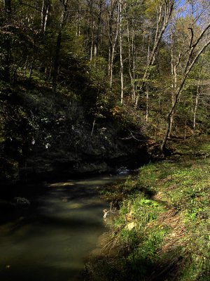 Iowa Trout Stream