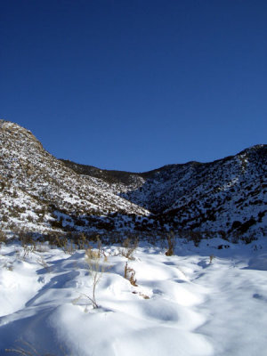 A snow hike at the foothills of the Sandias