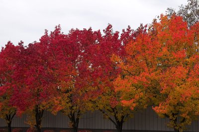 red to orange