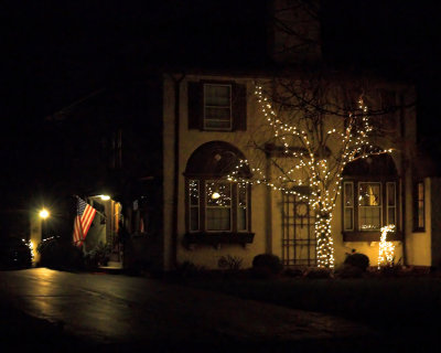 Holiday Lights 1
