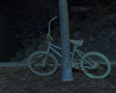 Night Shoot 10