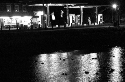 Night Shoot 23