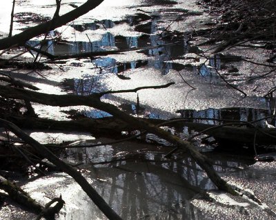 hint of winter