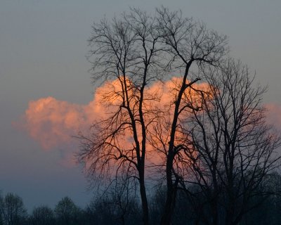 weather