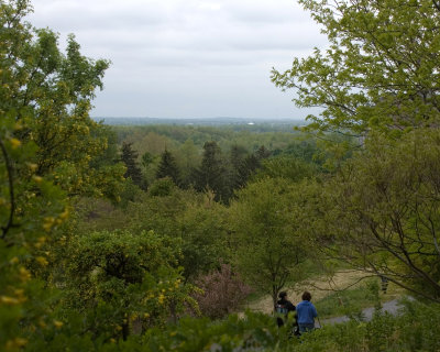 view