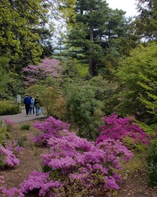 garden view