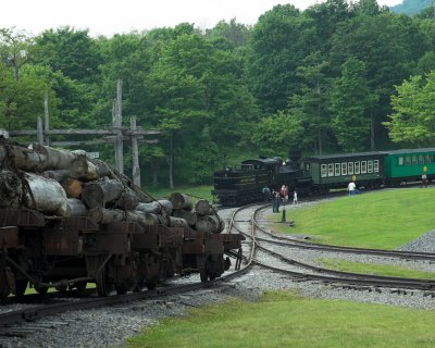 train at log camp