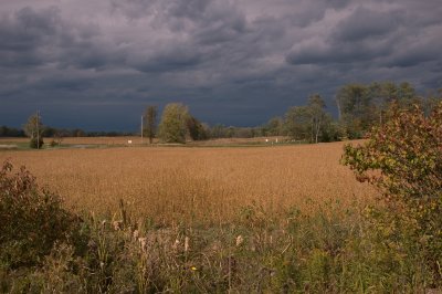 october sky