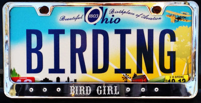 Ohio license plate