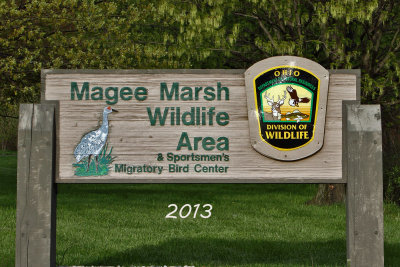 Magee Sign 2013