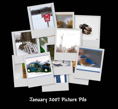 January 2007 Image Pile